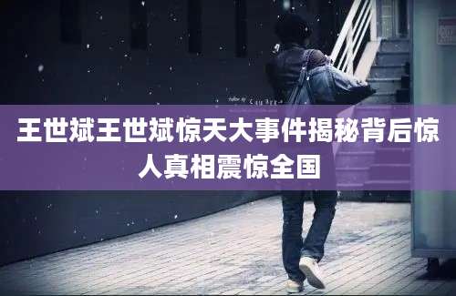 王世斌王世斌惊天大事件揭秘背后惊人真相震惊全国
