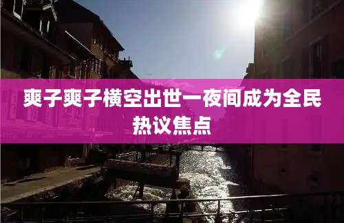 爽子爽子横空出世一夜间成为全民热议焦点