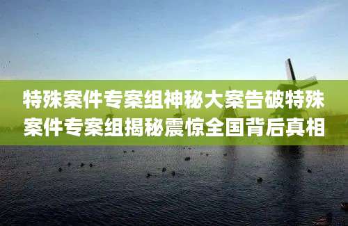 特殊案件专案组神秘大案告破特殊案件专案组揭秘震惊全国背后真相