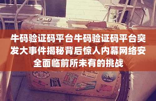 牛码验证码平台牛码验证码平台突发大事件揭秘背后惊人内幕网络安全面临前所未有的挑战
