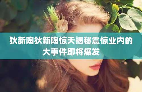 狄新陶狄新陶惊天揭秘震惊业内的大事件即将爆发