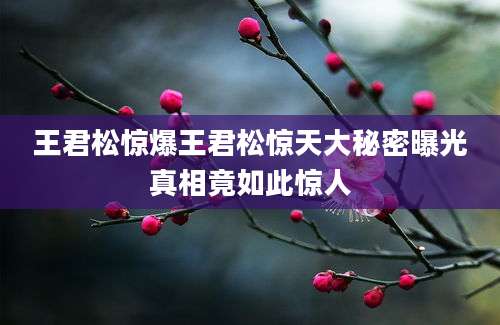 王君松惊爆王君松惊天大秘密曝光真相竟如此惊人