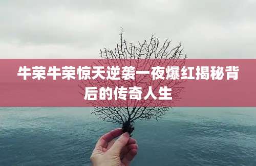 牛荣牛荣惊天逆袭一夜爆红揭秘背后的传奇人生