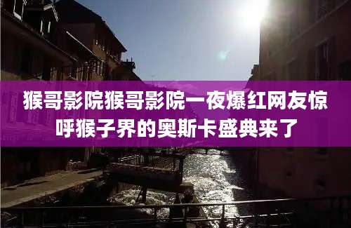 猴哥影院猴哥影院一夜爆红网友惊呼猴子界的奥斯卡盛典来了