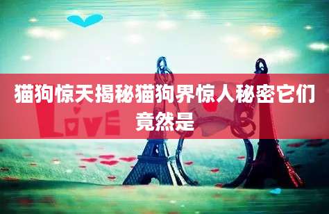 猫狗惊天揭秘猫狗界惊人秘密它们竟然是