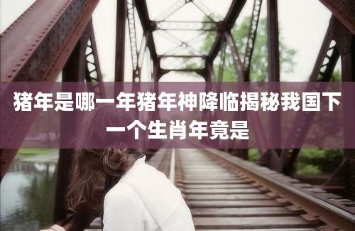 猪年是哪一年猪年神降临揭秘我国下一个生肖年竟是
