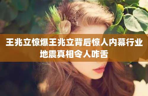王兆立惊爆王兆立背后惊人内幕行业地震真相令人咋舌