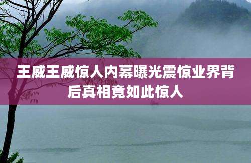 王威王威惊人内幕曝光震惊业界背后真相竟如此惊人
