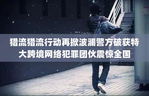猎流猎流行动再掀波澜警方破获特大跨境网络犯罪团伙震惊全国