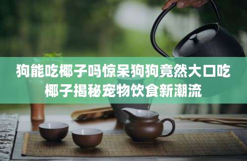狗能吃椰子吗惊呆狗狗竟然大口吃椰子揭秘宠物饮食新潮流
