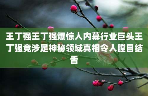 王丁强王丁强爆惊人内幕行业巨头王丁强竟涉足神秘领域真相令人瞠目结舌