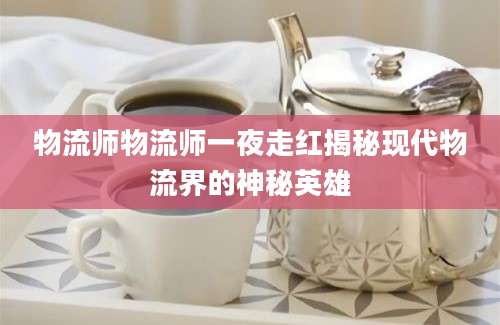 物流师物流师一夜走红揭秘现代物流界的神秘英雄
