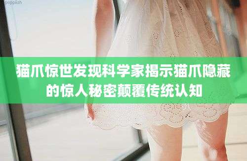 猫爪惊世发现科学家揭示猫爪隐藏的惊人秘密颠覆传统认知