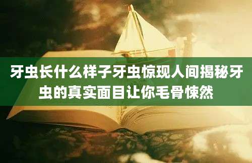 牙虫长什么样子牙虫惊现人间揭秘牙虫的真实面目让你毛骨悚然
