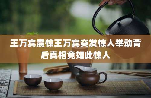 王万宾震惊王万宾突发惊人举动背后真相竟如此惊人