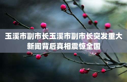 玉溪市副市长玉溪市副市长突发重大新闻背后真相震惊全国