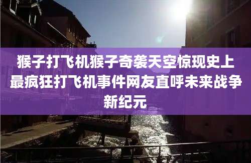 猴子打飞机猴子奇袭天空惊现史上最疯狂打飞机事件网友直呼未来战争新纪元