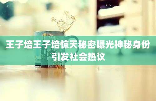 王子培王子培惊天秘密曝光神秘身份引发社会热议