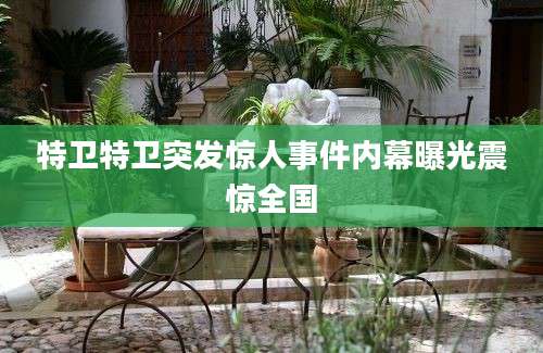 特卫特卫突发惊人事件内幕曝光震惊全国