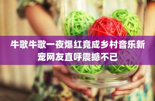 牛歌牛歌一夜爆红竟成乡村音乐新宠网友直呼震撼不已