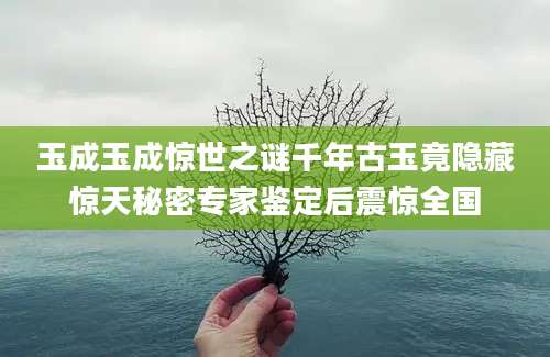 玉成玉成惊世之谜千年古玉竟隐藏惊天秘密专家鉴定后震惊全国