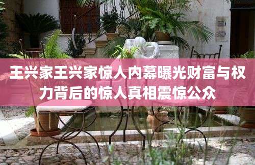 王兴家王兴家惊人内幕曝光财富与权力背后的惊人真相震惊公众