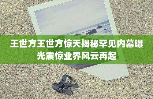 王世方王世方惊天揭秘罕见内幕曝光震惊业界风云再起
