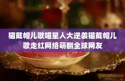 猫戴帽儿歌喵星人大逆袭猫戴帽儿歌走红网络萌翻全球网友