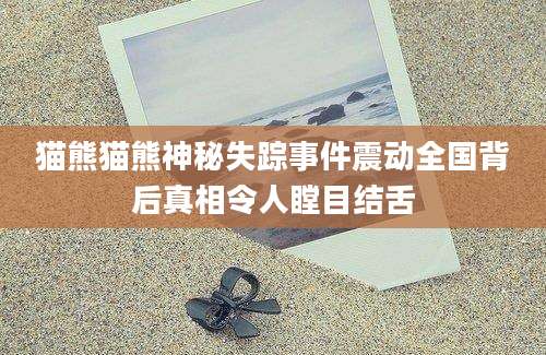 猫熊猫熊神秘失踪事件震动全国背后真相令人瞠目结舌